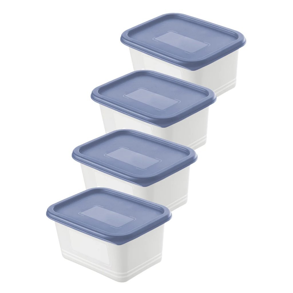 Rotho Domino Diepvriesdozen Etiket Decor 4x0.75L Horizon Blauw/Wit