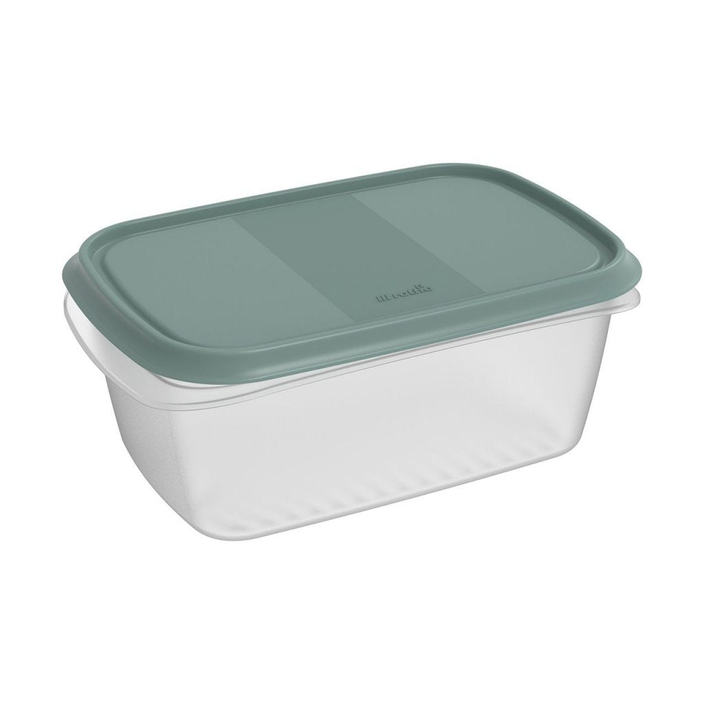 Rotho ELEMENTS Koelkast Bewaardoos 11.2x7.8x13.2 cm 2L Mistletoe Groen/Transparant